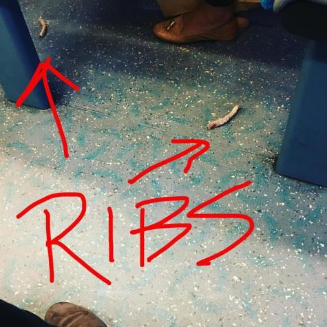 14184352_10105945641947720_7595897420556985952_n