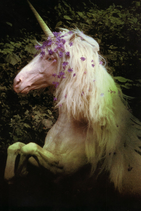 Unicorn Horn – Winter-Maker